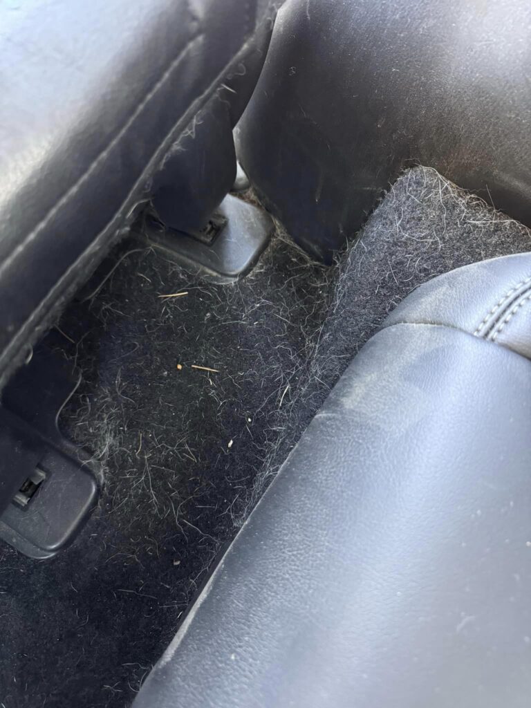 Detailing car detailing in Lexington, SC by Mikah’s, offering car detailing car detailing and mobile detailing